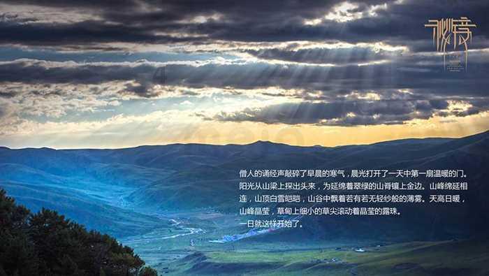 动物滑动拼图
