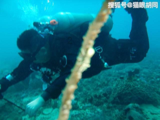 小妙招生活游戏画面